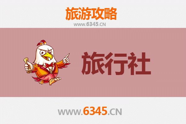 周口扶沟旅行社精选推荐及深度游玩攻略