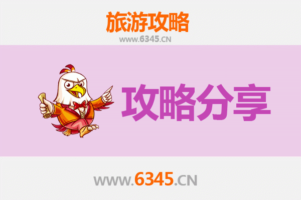 周口扶沟旅游攻略：跟团与自由行深度对比
